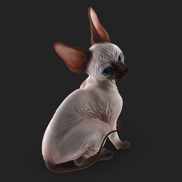 3D highpoly sphynx cat