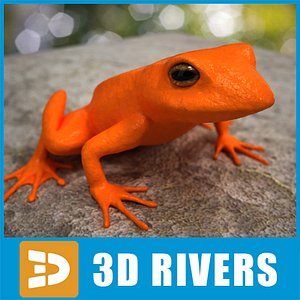 Poison dart frog 01 by 3DRivers