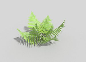 3d 3ds fern games