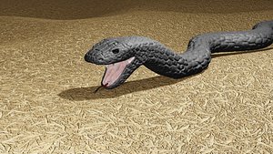 snake