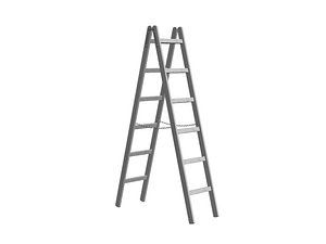 ladder