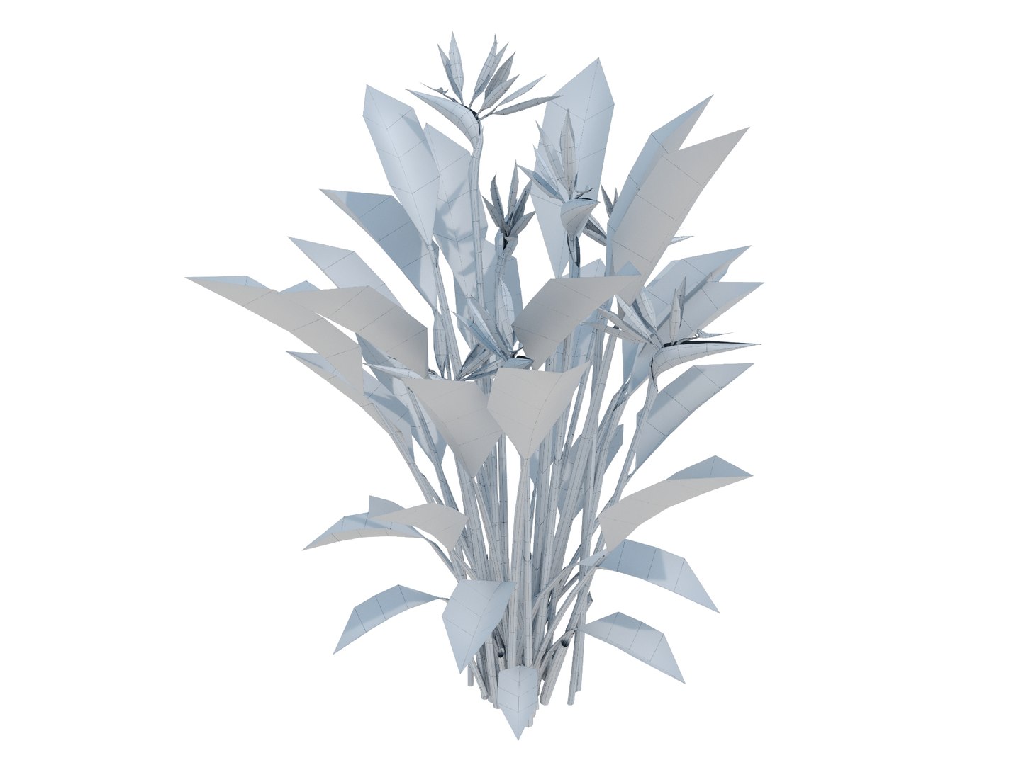 plant strelitzia reginae 3D model https://p.turbosquid.com/ts-thumb/6M/ANoVDS/3e/strelitziareginaebirdrender01wire/jpg/1700570199/1920x1080/fit_q87/a8a2bde2bb42bf03be95bf0498de5acabb4c6cff/strelitziareginaebirdrender01wire.jpg