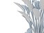STRELITZIA REGINAE PARADIESVOGEL