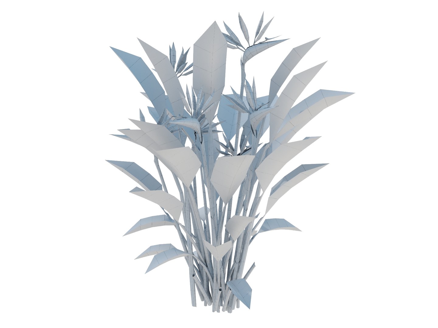plant strelitzia reginae 3D model https://p.turbosquid.com/ts-thumb/6M/ANoVDS/tz/strelitziareginaebirdrender03wire/jpg/1700570200/1920x1080/fit_q87/9bec525bef1e3ddb56031c48f206cfa5c8957d8c/strelitziareginaebirdrender03wire.jpg