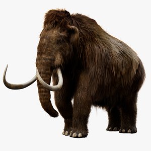 Mammoth Fur Rigged 3D