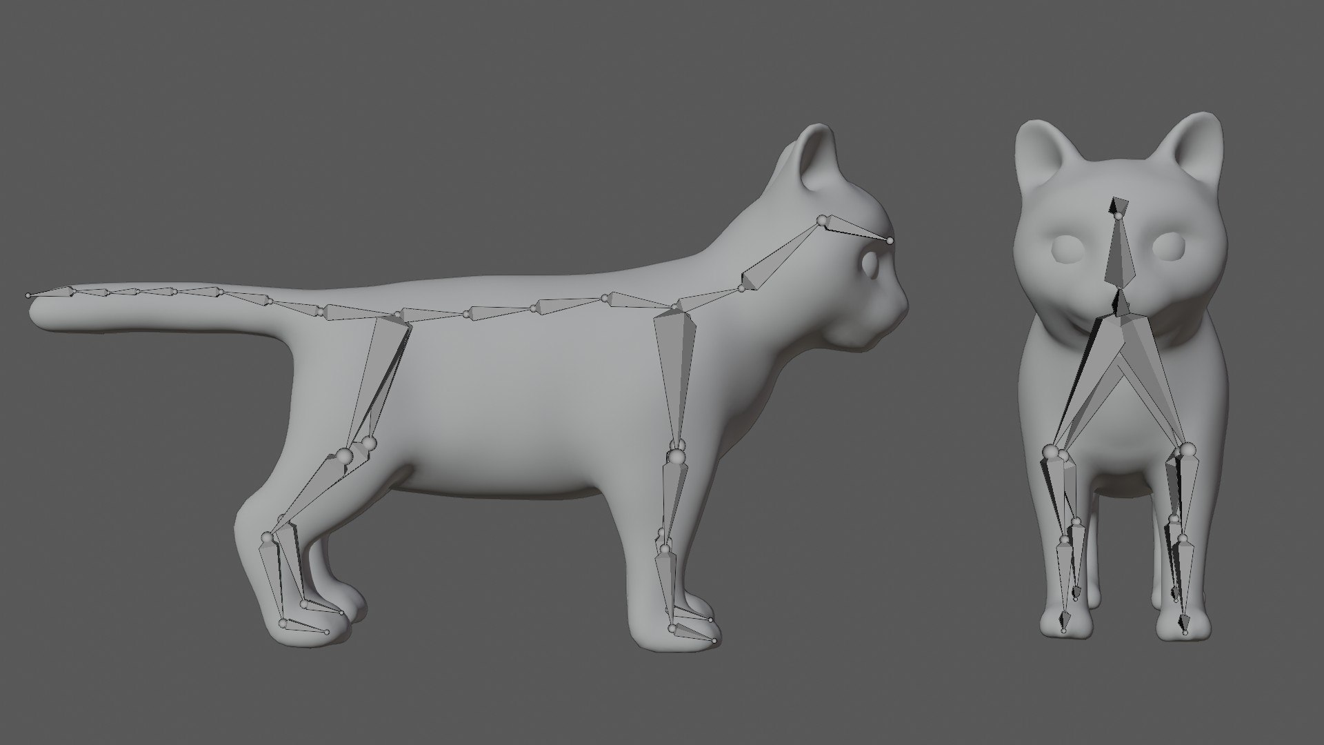 3D Kitten Model TurboSquid 1765126