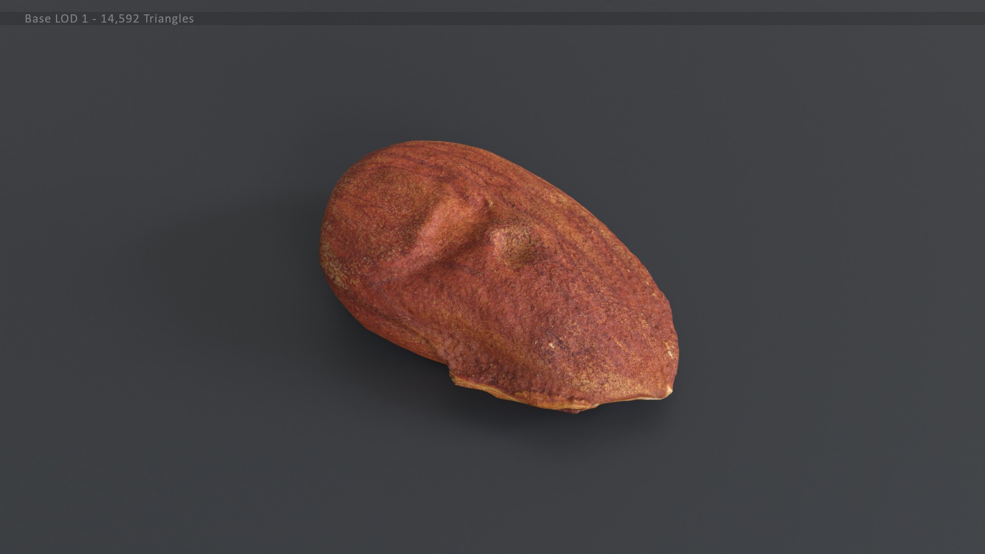 Almond Kernel 3 3D TurboSquid 2145801