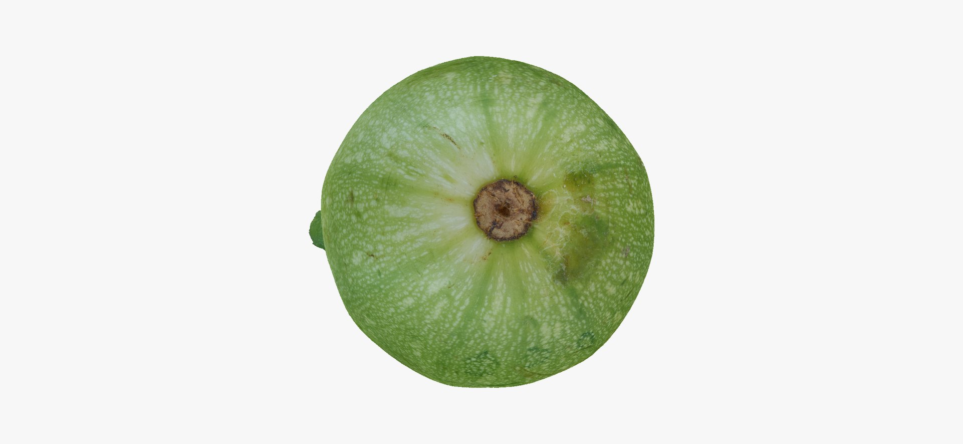 3D zucchini cousa squash 02 https://p.turbosquid.com/ts-thumb/6M/Wjbtc2/CQ6Mp8PO/zucchinicousasquash02thumbnail09/jpg/1608117904/1920x1080/fit_q87/c64d418d7405f4efb81835b535e78cdbebfa8bca/zucchinicousasquash02thumbnail09.jpg