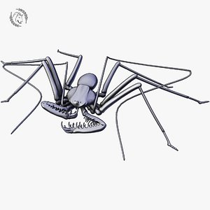 3D whip spider