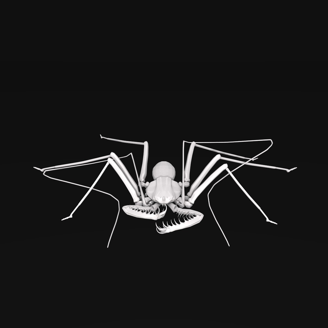 3D Whip Spider - TurboSquid 1231709