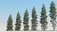3d model 20 picea engelmanni trees