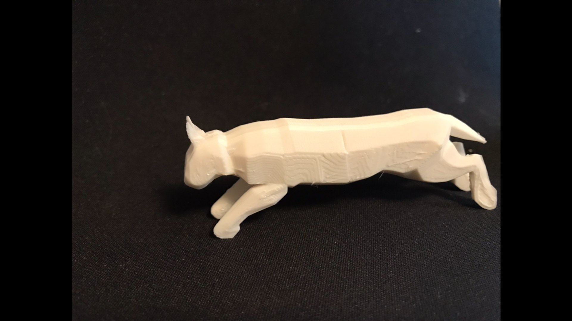 3D big cat https://p.turbosquid.com/ts-thumb/6M/lm1id0/qOhLfjtJ/img_0572/png/1519606326/1920x1080/fit_q87/977b110e155c3a5d82345c7b907146ff5bdb998f/img_0572.jpg