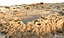 African Terrain Ultra Scan 32K 3D model