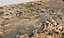 African Terrain Ultra Scan 32K 3D model