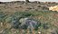 African Terrain Ultra Scan 32K 3D model