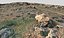African Terrain Ultra Scan 32K 3D model