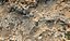 African Terrain Ultra Scan 32K 3D model
