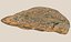 African Terrain Ultra Scan 32K 3D model