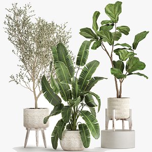 Plants in decorative white rattan baskets 1017 3D