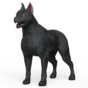 Black Dog 3D model