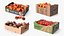 Kolekcja Harvest in Storage Boxes 2