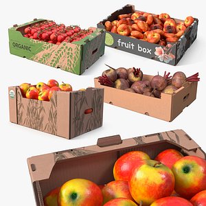 3D Harvest in Storage Boxes Collection 2