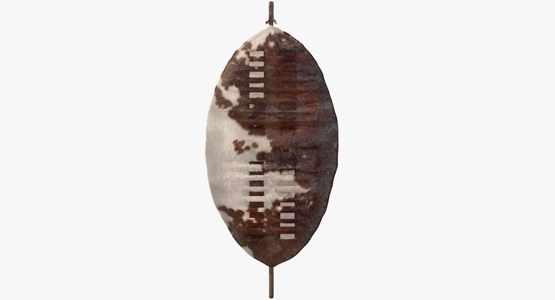 Zulu War Isihlangu Cow Hide Battle Shield 3D model preview