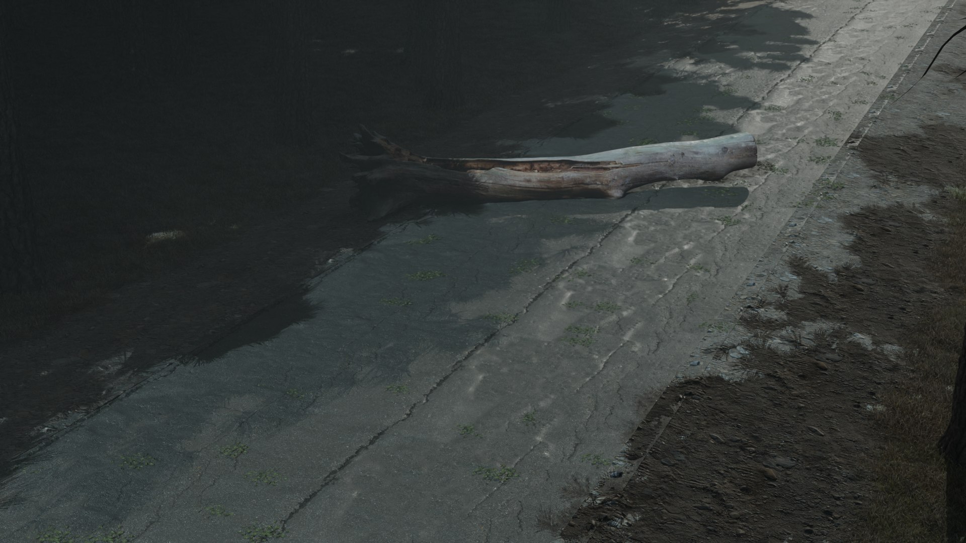 3D Atmospheric road in the forest model https://p.turbosquid.com/ts-thumb/6N/P1t7Cy/5w/roadintheforest2/png/1721717886/1920x1080/fit_q87/136d73e96bf42833e599c4cdc280c71b5583bf1c/roadintheforest2.jpg