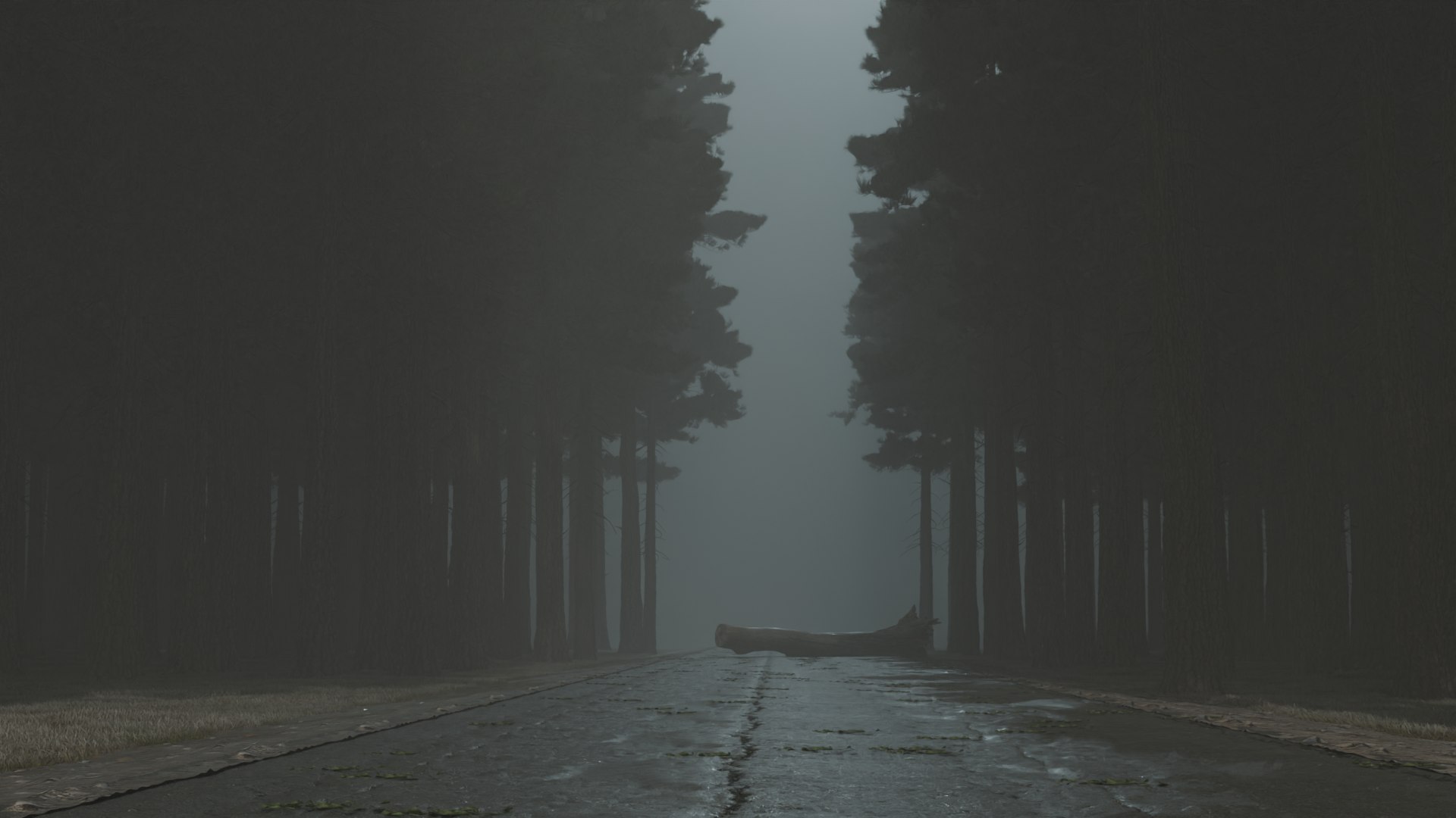 3D Atmospheric road in the forest model https://p.turbosquid.com/ts-thumb/6N/P1t7Cy/Jv/roadintheforest4/png/1721717885/1920x1080/fit_q87/5378981efceec615fb5213720b49be9c9675a5da/roadintheforest4.jpg
