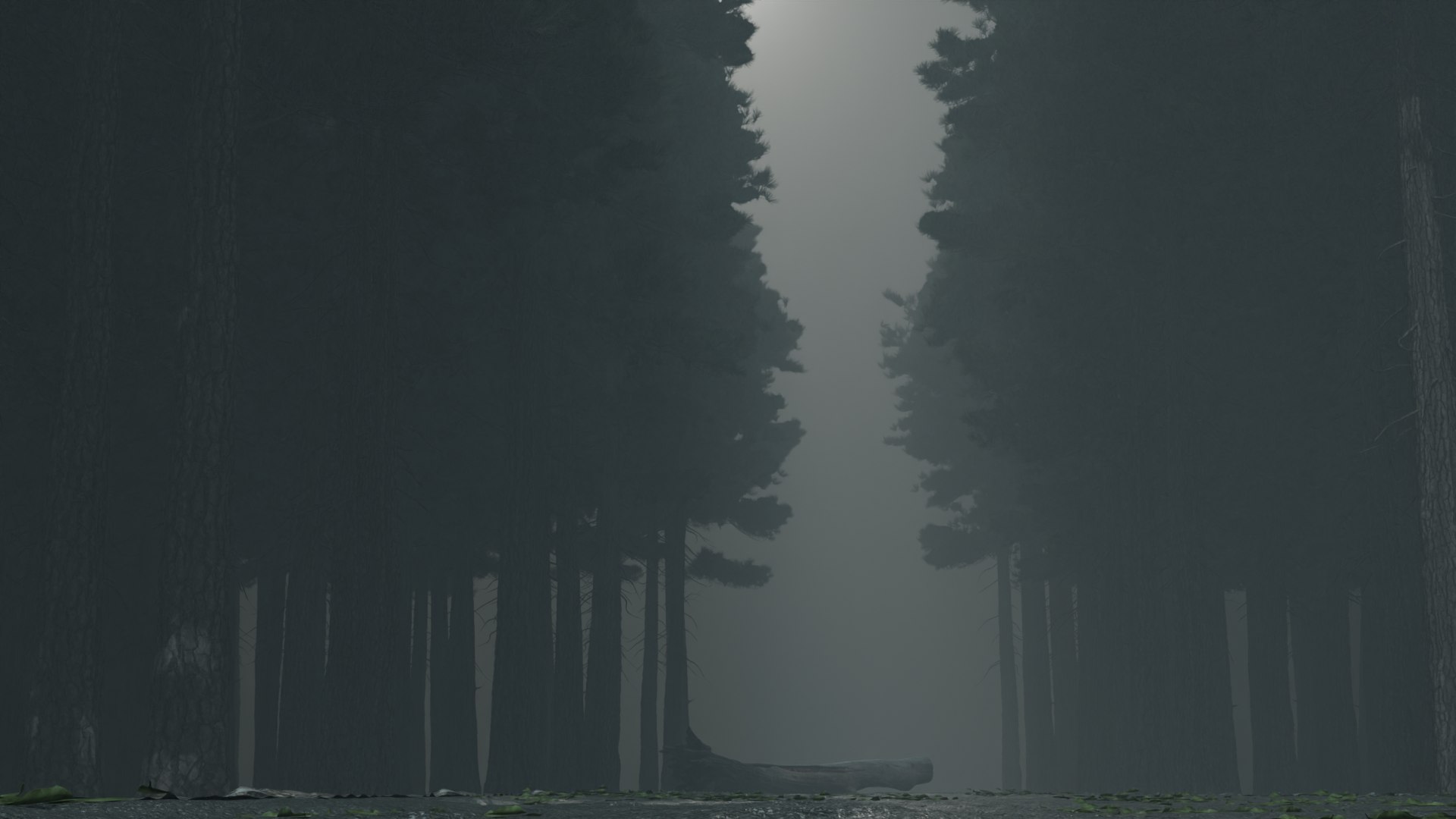 3D Atmospheric road in the forest model https://p.turbosquid.com/ts-thumb/6N/P1t7Cy/xY/roadintheforest8/png/1721717883/1920x1080/fit_q87/6d21a8b5144c3225f0b8f221c4b292aae3927f73/roadintheforest8.jpg