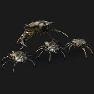 3D Insect Crawlers Collection model