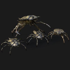 Insect Crawlers Collection