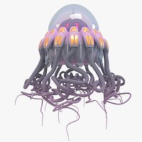 Jellyfish