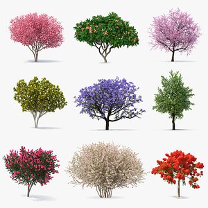 3D model flowering bushes trees 6