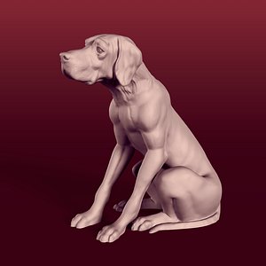 Sitting Pointer Dog Statue - Figurine