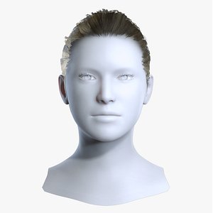 Realistic Bun Brown Hair 3D Asset 3D model