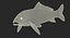 3D model koi fish swiming pose