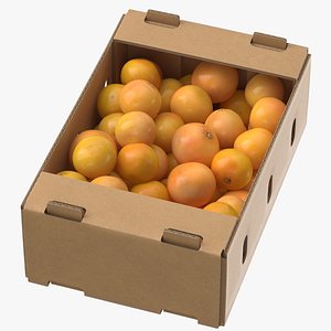 cardboard display box grapefruits 3D