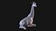 Girafa deitada