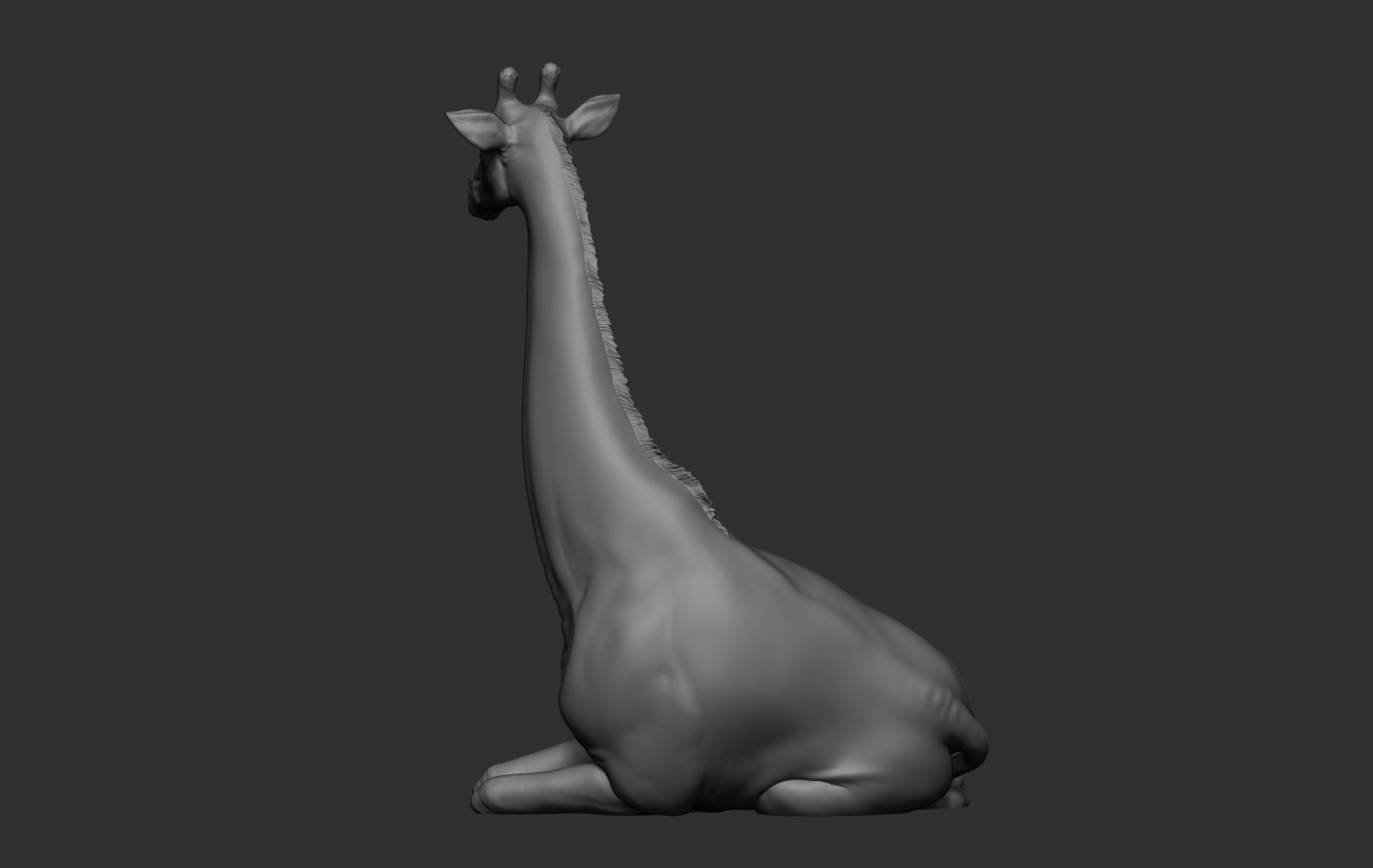 3D Giraffe Lying Down https://p.turbosquid.com/ts-thumb/6O/1p7ykG/iE/13/png/1740182095/1920x1080/fit_q87/d0f5078e3eb62c4c31586ac194173a50662c6be9/13.jpg