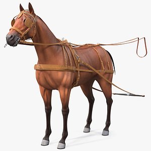 Horse Leather Single Driving Harness