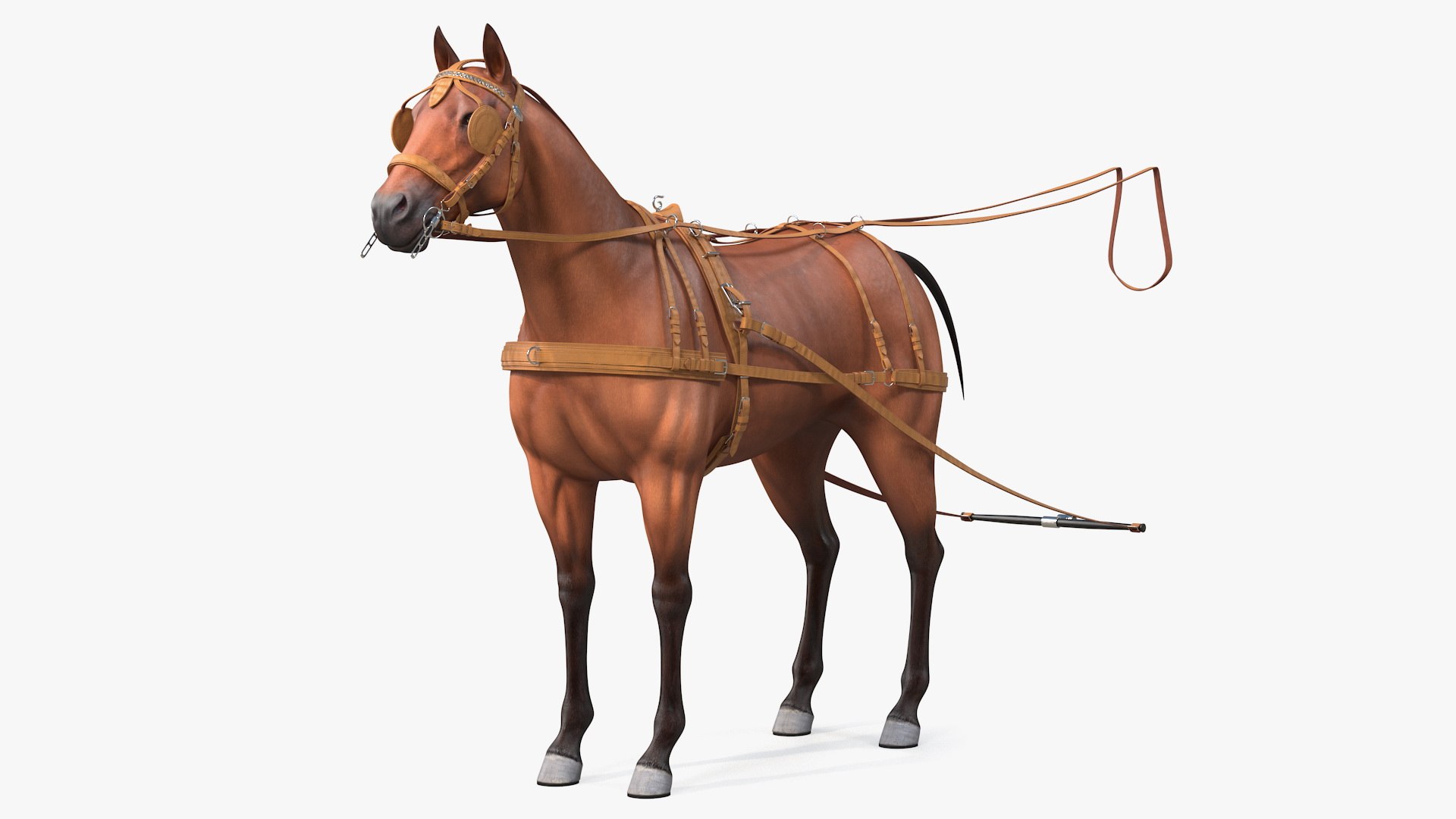 Horse Leather Single Driving Harness 3D model preview
