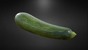 Zucchini 3D model