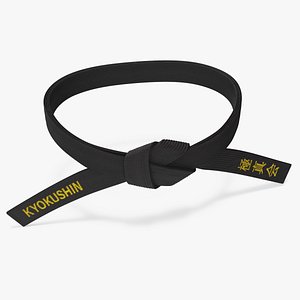 Kyokushin Black Waist Obi Belt