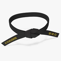 Kyokushin Black Waist Obi Belt