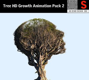 Tree Head HD Growth Animation