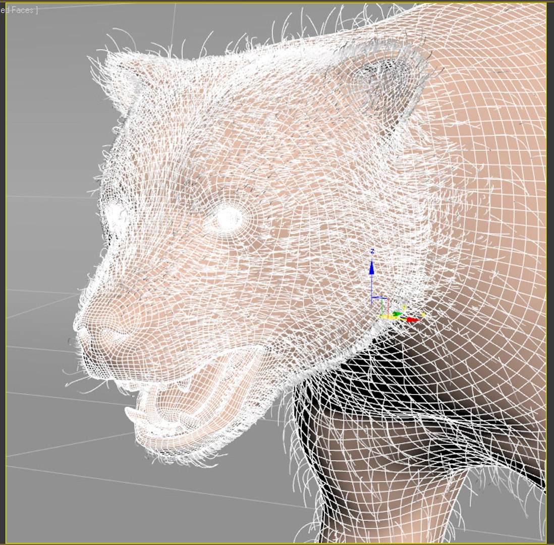  rigged animation 3d model