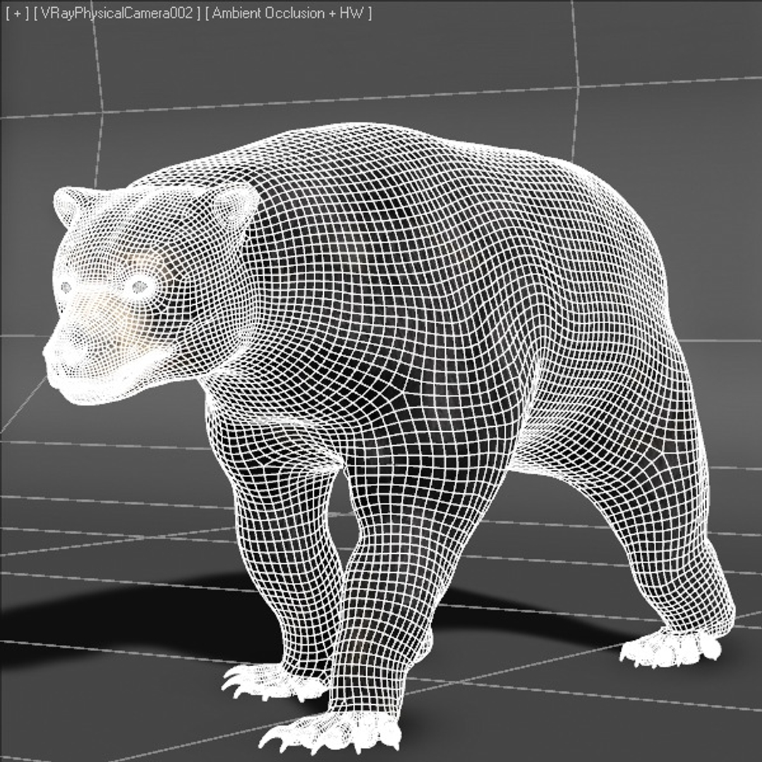  Rigged Animation 3d Model