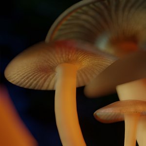 3D mushrooms sss