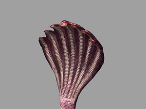 Sheshnaag Model